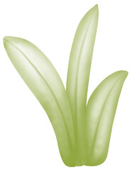 The grass has long, slender green leaves.