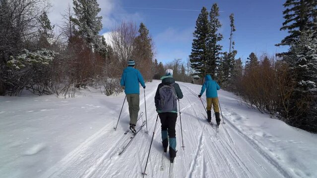Family cross-country skiing on groomed trail