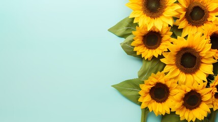 Bright and cheerful top view of a bunch of sunflowers against a plain backdrop, perfect for adding your text overlay.