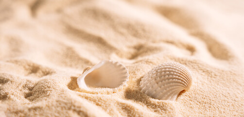 Fototapeta na wymiar Yellow clean sand with shells.
