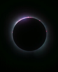 Prominences radiating off the suns surface during totality in the total solar eclipse of 2024. Seen...