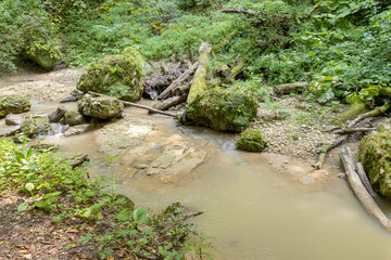 Morning on a mountain river, awakening in nature summer sunny mood.