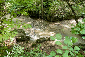 Morning on a mountain river, awakening in nature summer sunny mood.