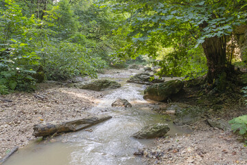 Morning on a mountain river, awakening in nature summer sunny mood.