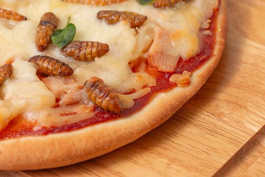 Pizza with silkworm pupae and mozzarella, edible insects in Thailand. Close-up