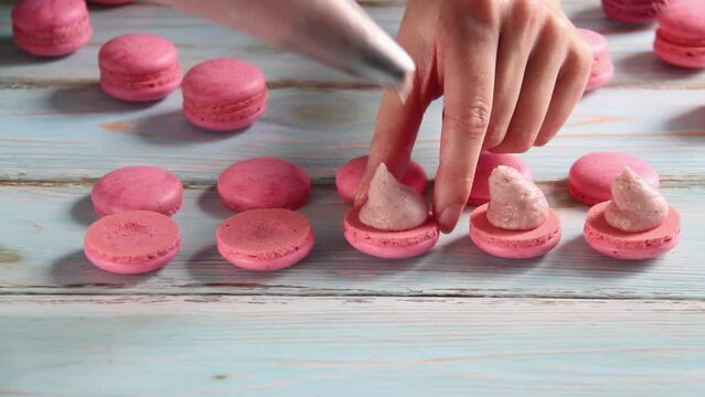 Woman pastry chef making pastel pink macaroons dessert. Confectioner squeezing cream filling from pastry bag to freshly baked macaron