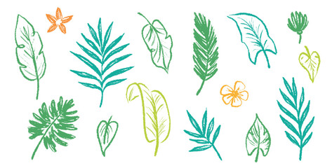 Palm leaf hand drawn crayon brush illustration. Foliage green tropical jungle leaves monstera, banana tree leaf texture silhouette elements. Hand drawn grunge black texture. Vector illustration. - obrazy, fototapety, plakaty