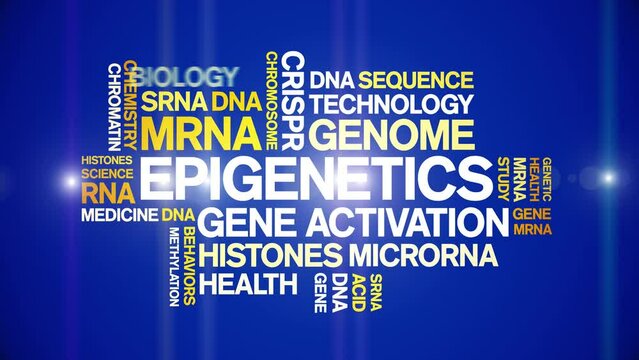 Epigenetics animated word cloud;text design animation tag kinetic typography seamless loop.