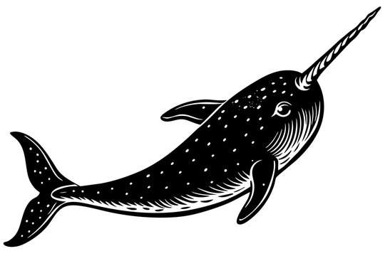 recommend clip art: narwhal silhouette vector art illustration