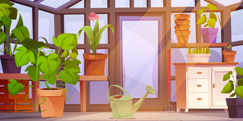 Greenhouse interior with furniture and plants. Vector cartoon illustration of flower blooming, monstera growing in clay bucket, green grass in flowerpot, metal waterer, room with glass walls and door - obrazy, fototapety, plakaty