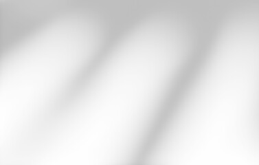 White wall with shadow of yucca leaves overlay. Sunlight effect shadow on the wall. Minimal blurred backdrop backgrounds. Summer tropical surface background.	
