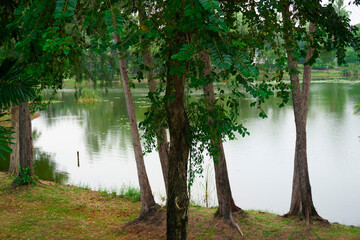 Thailand Phuket island lagoon area. nature and houses, beach and sea