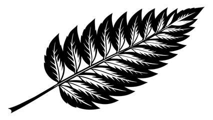 Discover Stunning Rowan Leaf Vector Graphics Enhance Your Designs