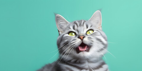 Close-up portrait of a cute white cat with green eyes and whiskers