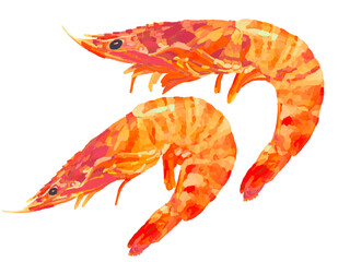 車海老（赤）2尾