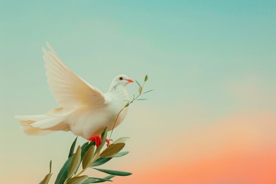 Photo of a white dove carrying a little olive leaf branch with its beak representing the World Peace Day celebration, international day of peace, gradient sky background