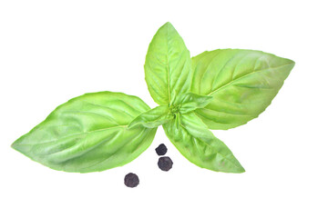 Fresh basil and pepper isolated on white