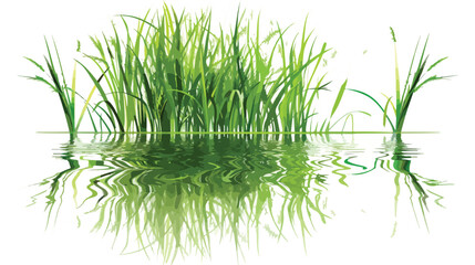 Summer grass with reflections in water