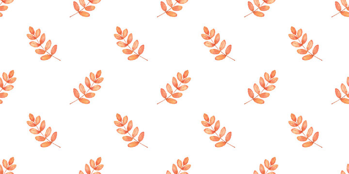 Watercolor seamless pattern. Autumnal foliage fall and orange rowan leaves