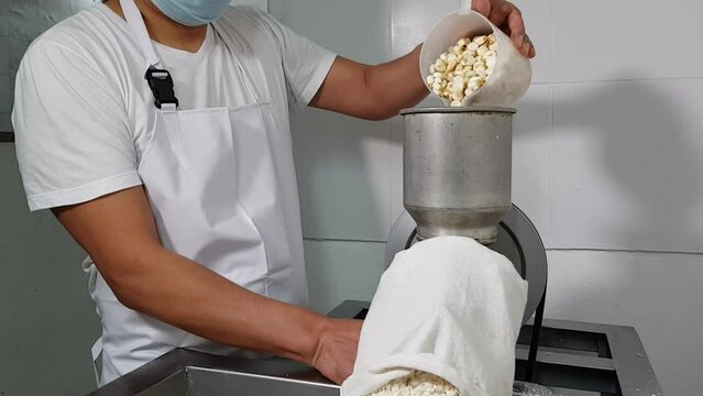 Person in a white apron uses a corn crusher to process fresh corn into meal