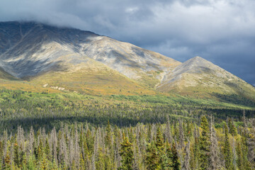 Haines Highway Yukon Alaska