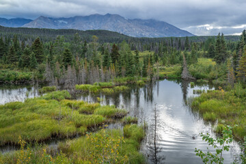 Haines Highway Yukon Alaska