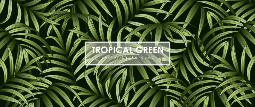 Dark green luxury vector botanical background with palm branches. Summer tropical design, wallpaper, cover, poster, banner.