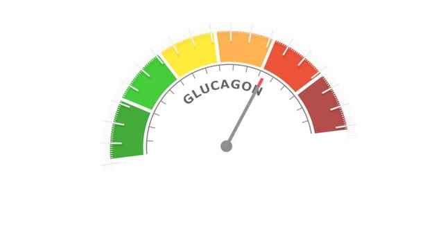 Glucagon peptide hormone level on measure scale. Instrument scale with arrow. Colorful infographic gauge element. Glucagon is produced in the pancreas and has the opposite effect of insulin.