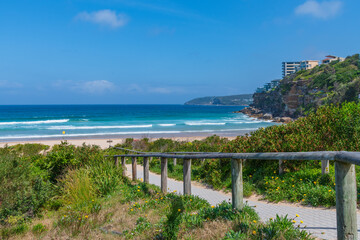 Daytime seaside views of the beach at Freshwater in the Northern Beaches of Sydney