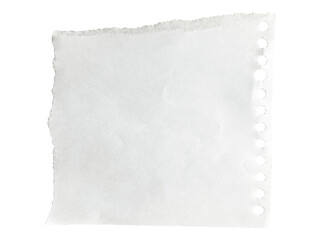 Obraz premium Ripped Paper note memo grid vintage scrapbook high quality isolated 