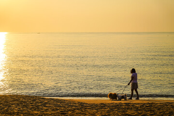 people with dogs walking on beach in sunset, summer holiday