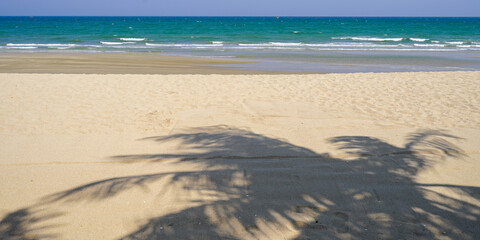 beach in the sand with palm tree shadow