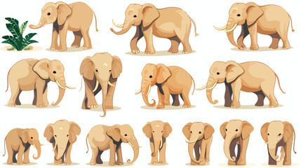 Flat vector set of elephants in different poses. Af