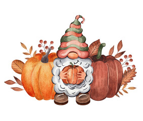 Funny gnome holding a pumpkin. Autumn. Watercolor illustration