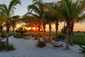 Hammocks under palm trees on a tropical beach