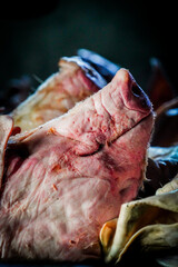 pig head on the table with dramatic tone