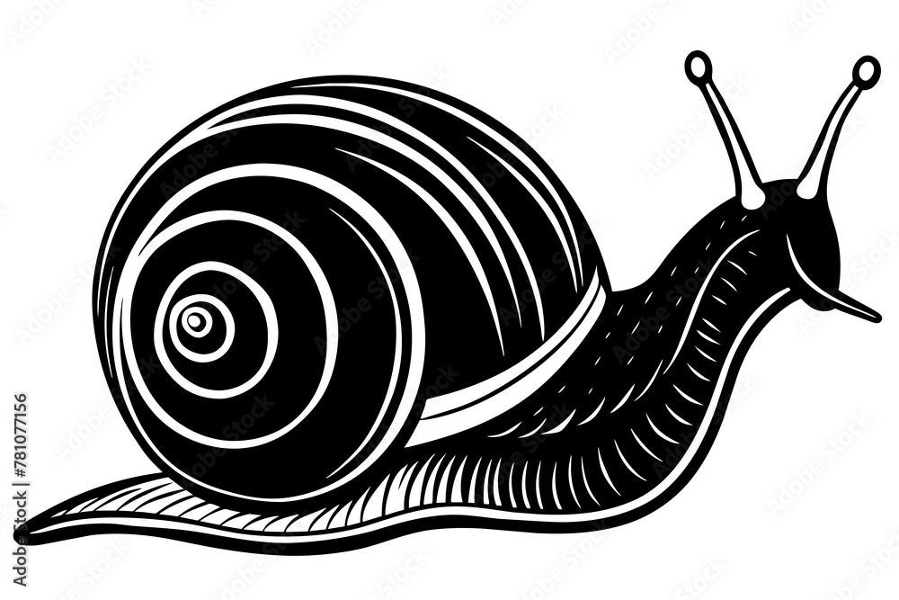 Wall mural snail silhouette vector art illustration