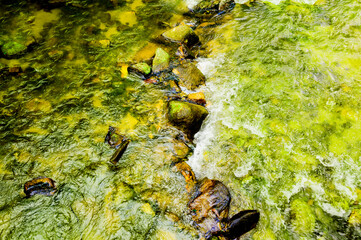 The flow of water are clear and clean in the forest