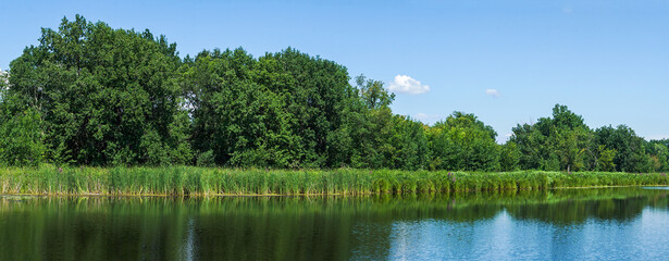 A green forest on the opposite shore of a lake or a river