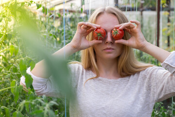 Portrait of blonde woman harvesting red ripe organic tomatoes in greenhouse and having fun. Healthy homegrown food concept. Cottagecore countryside life 