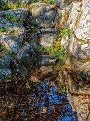 Rocks are reflected on the calm surface of a small pond. A peaceful, refreshing moment in the forest. - 781087599