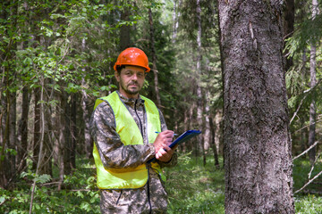 A forest ecologist works in the forest. An engineer inspects forest plantations.