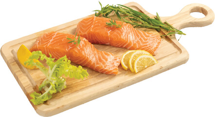 salmon steak vector