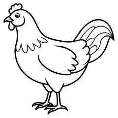 chicken vector illustration with line art.