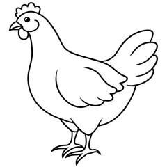 chicken vector illustration with line art.
