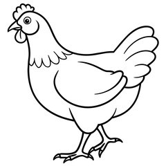    chicken vector illustration with line art.