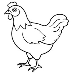    chicken vector illustration with line art.
