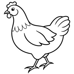    chicken vector illustration with line art.
