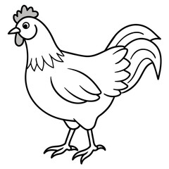    chicken vector illustration with line art.
