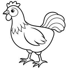    chicken vector illustration with line art.
